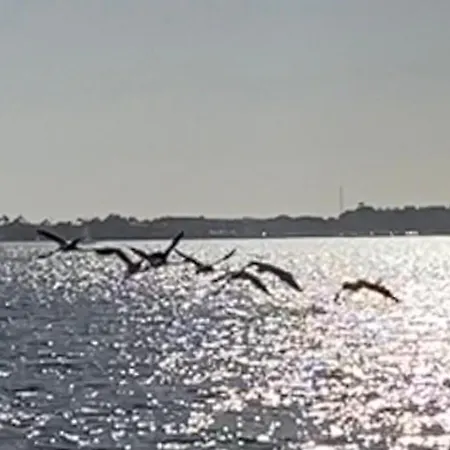 Дом отдыха Casa Do Cao Da Do Furadouro Овар