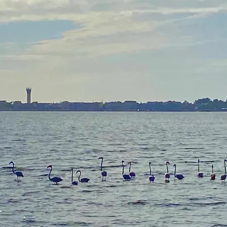 Ferienhaus Casa Do Cao Da Do Furadouro