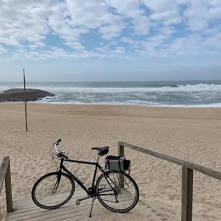 Casa Do Cao Da Do Furadouro * Ovar