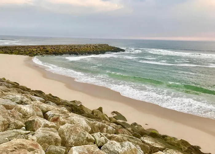 Casa Do Cao Da Do Furadouro オヴァール