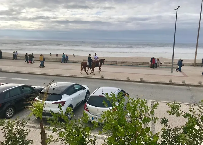 別荘 Casa Do Cao Da Do Furadouro