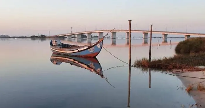 Casa Do Cao Da Do Furadouro 別荘 *