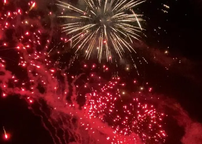 Casa Do Cao Da Do Furadouro 別荘