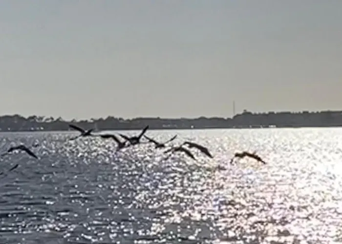別荘 Casa Do Cao Da Do Furadouro オヴァール